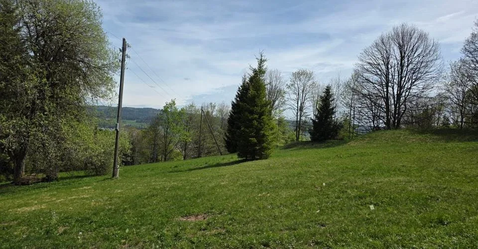 Deux Chalets situés sur une vaste parcelle ensoleillée et cadre de vie privilégié – foto 4 di 10