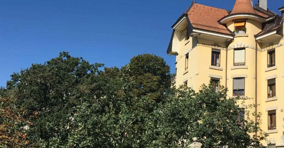 Exklusiv: Duplex mit Rheinblick – Foto 3 von 24