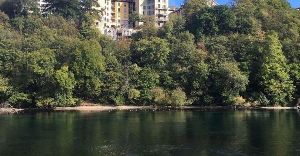 Exklusiv: Duplex mit Rheinblick – Foto 2 von 24