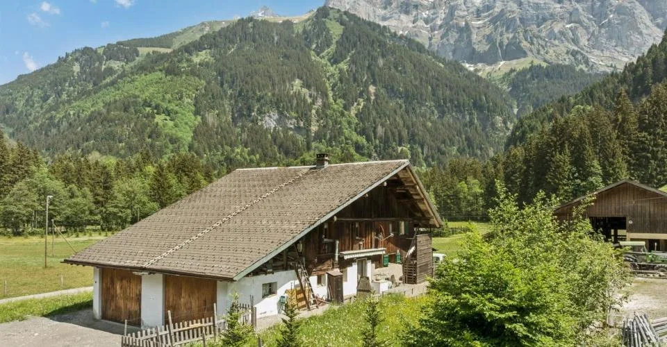 7 Zimmer Chalet in Champéry – Foto 3 von 13