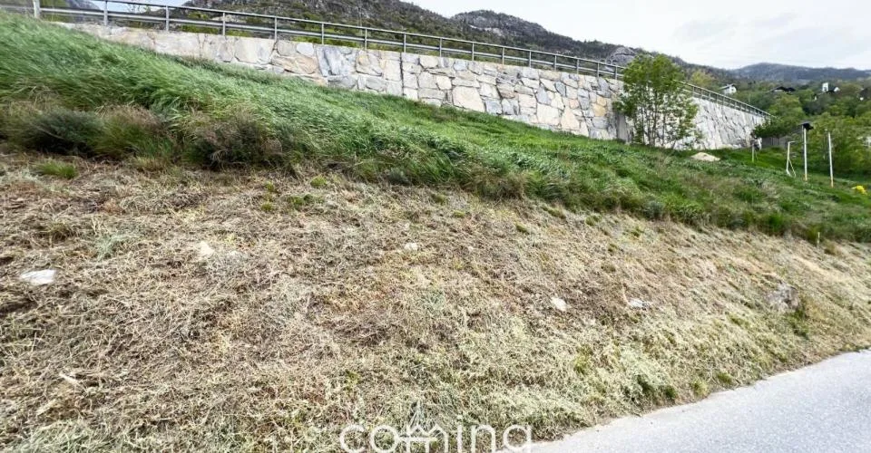 Baugrundstück in Steg ? 722 m², Baubewilligung und Tiny House Projekt inklusive – photo 4 sur 6