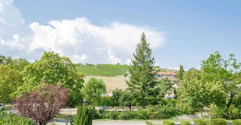 8 Zimmer Reihenfamilienhaus in Bernex – Foto 29 von 29