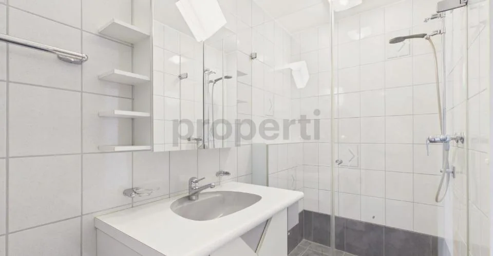 Newly renovated 4.5-room elegant apartment with private parking, Bubendorf