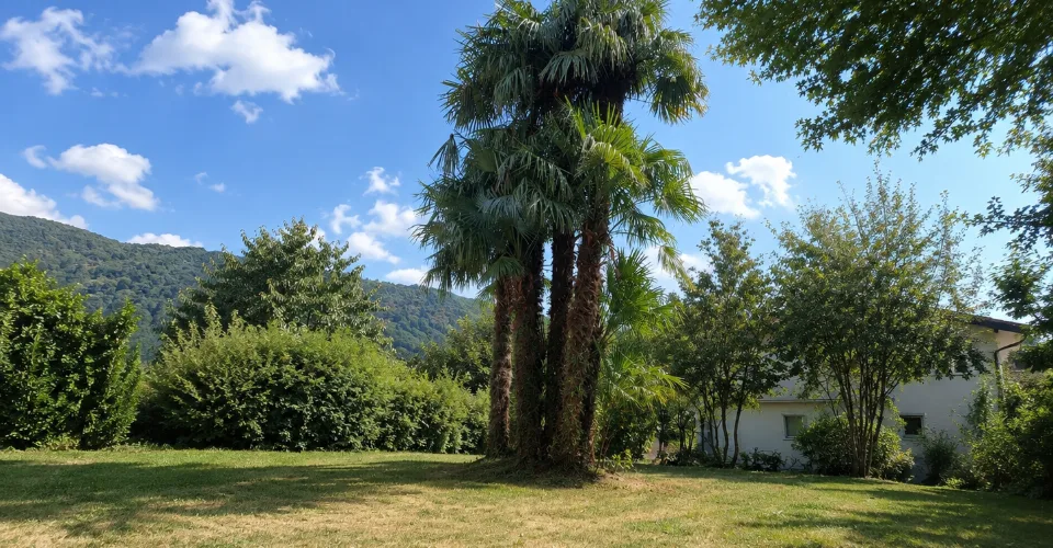 Terreno di 1000 m², ampio potenziale di ristrutturazione e pergola con camino – foto 37 di 43