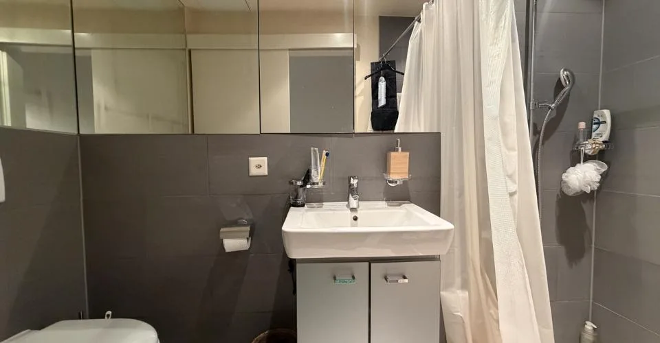 Meraviglioso loft nel centro città di Losanna – foto 18 di 20