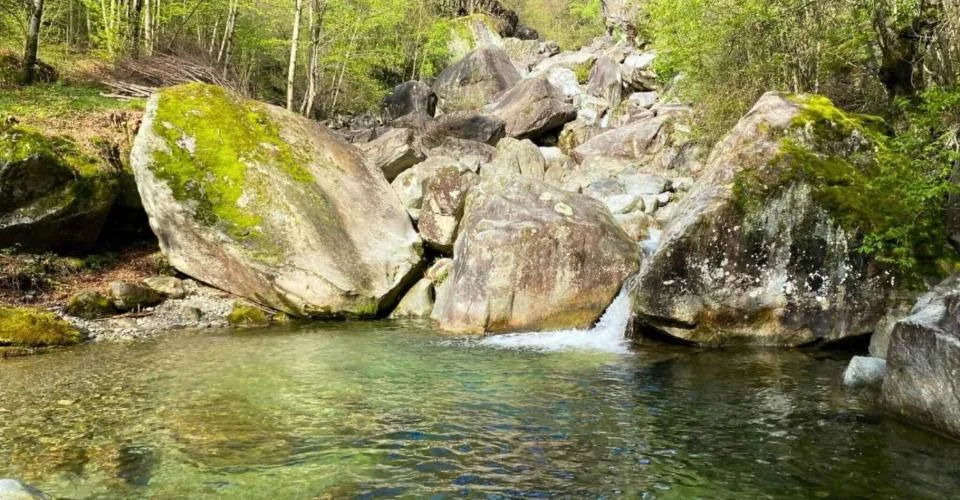 Terrain constructible avec piscine naturelle à Giornico - Résidence principale – photo 4 sur 14