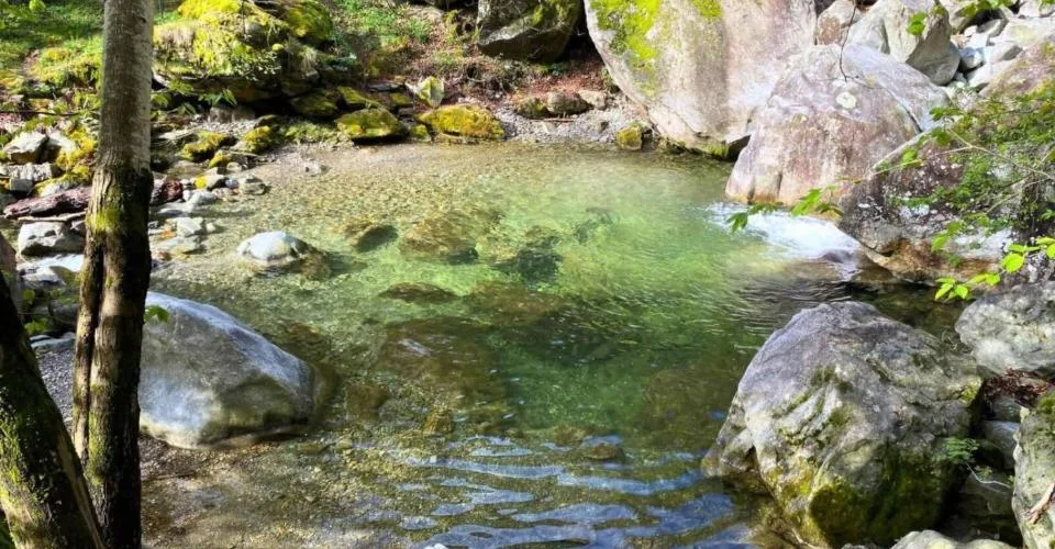Terrain constructible avec piscine naturelle à Giornico - Résidence principale – photo 2 sur 14