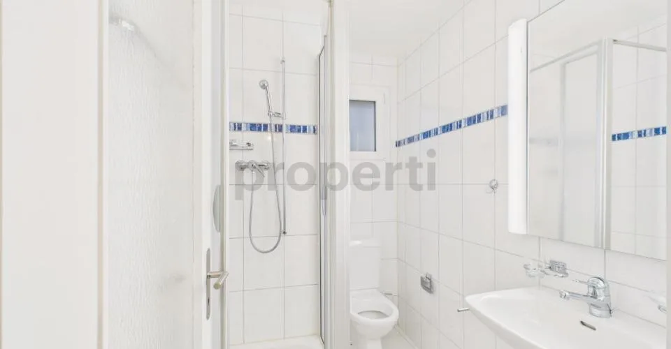 Modern 6.5 room row house with garden in La Neuveville