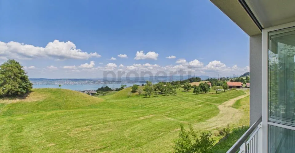 Hoch über dem Zürichsee mit unverbaubarem Seeblick