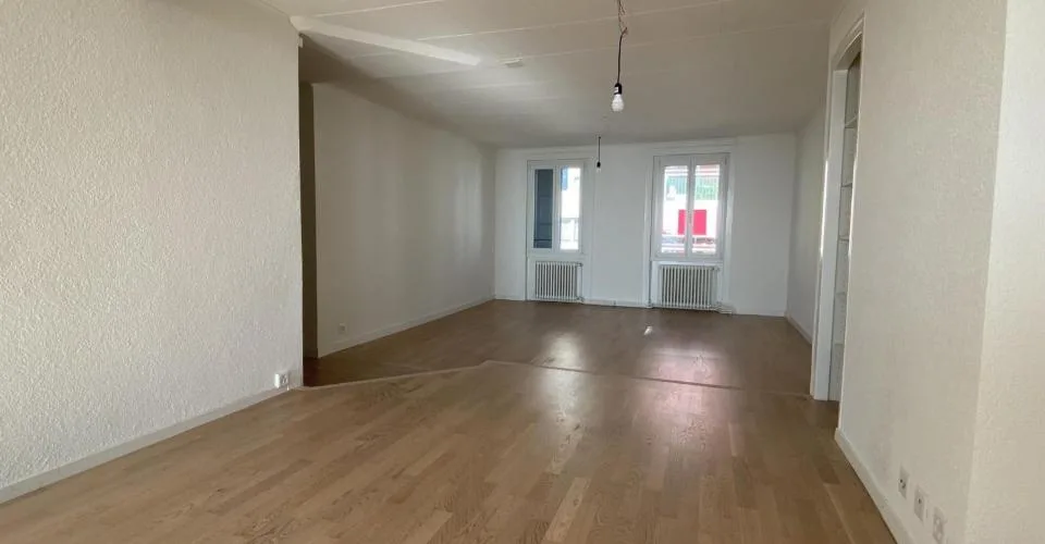 Bel appartement de 3.5 pièces avec terrasse vue lac