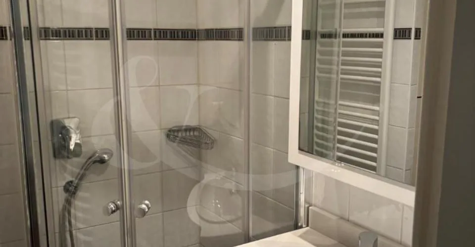 Rue Ancienne 27, Charmant appartement de 2.5 pièces à Carouge – photo 3 sur 4