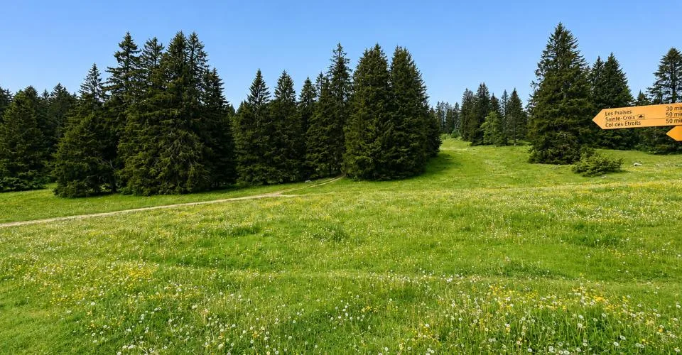 Buvette d'alpage au cœur de la nature – Foto 5 von 13