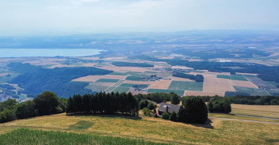 Einfamilienhaus mit 6,5 Zimmern und herrlicher Panoramaview – Foto 2 von 13