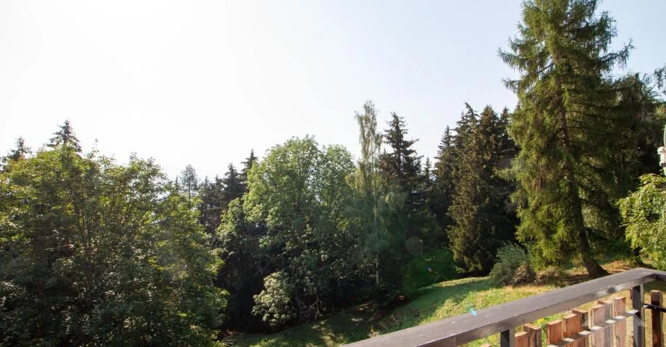 Appartement dans un petit chalet aux Mayens de Conthey – foto 9 di 10