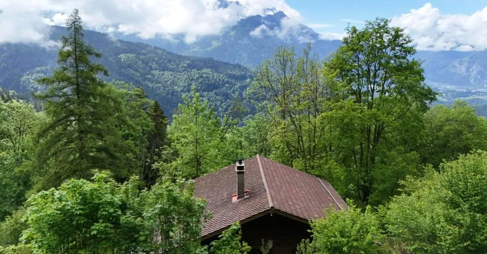 Einzelner oder Investor, Chalet mit hohem Potenzial in Villars-sur-Ollon – Foto 2 von 24