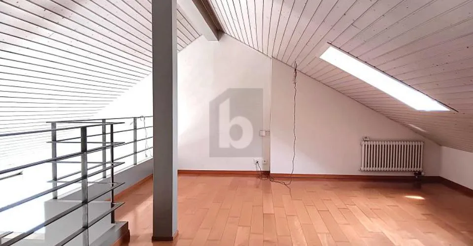 DUPLEX RARE ET UNIQUE !