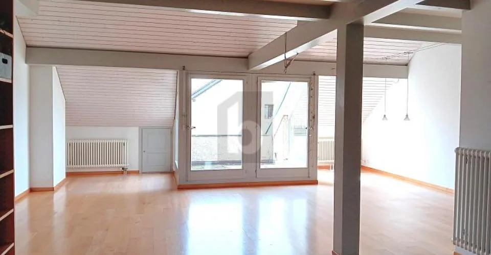 DUPLEX RARE ET UNIQUE !