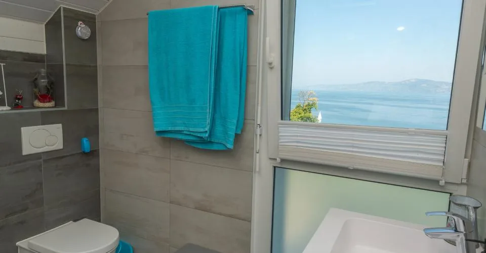 VILLA AVEC VUE PANORAMIQUE SUR LE LÉMAN – foto 12 di 19