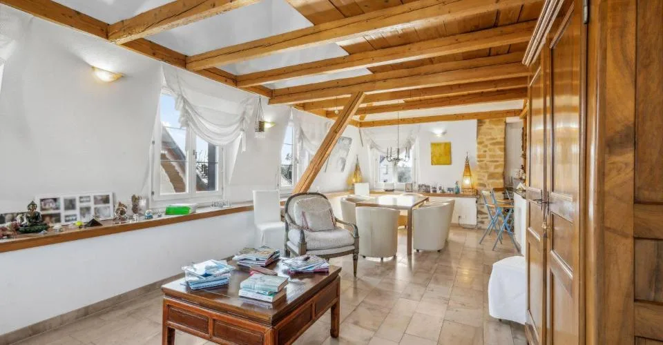 Conjuguer habitation, activité libérale ou investissement à deux pas du lac – Foto 4 von 24