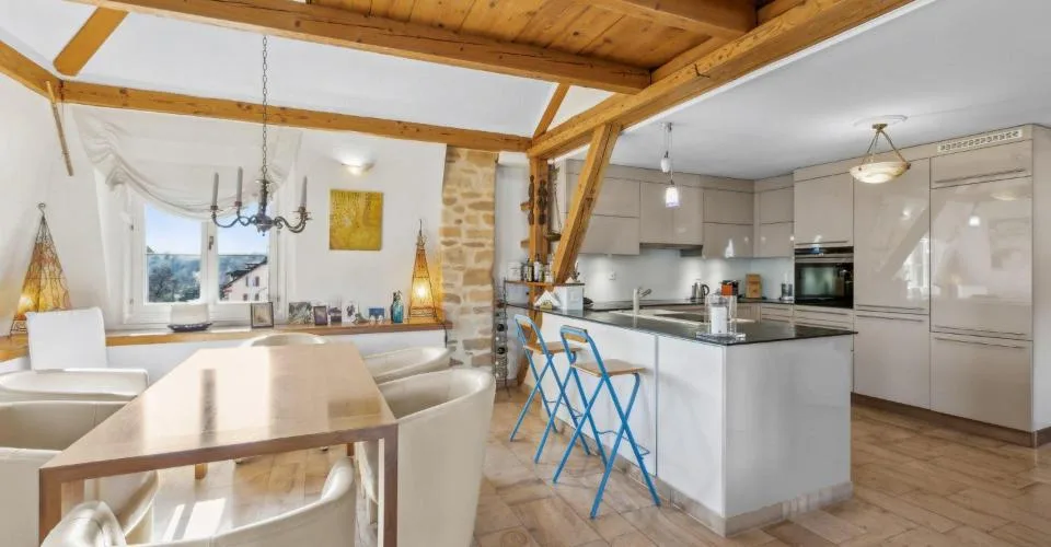 Conjuguer habitation, activité libérale ou investissement à deux pas du lac – Foto 3 von 24