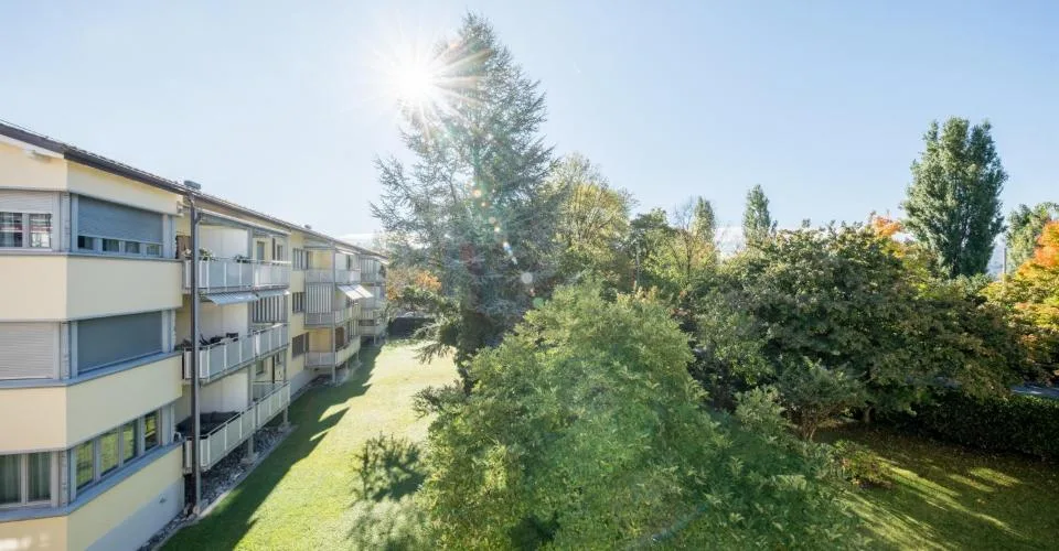 Faccia a faccia con il lago di Zurigo - Tuffati nell'acqua fresca! – foto 6 di 8