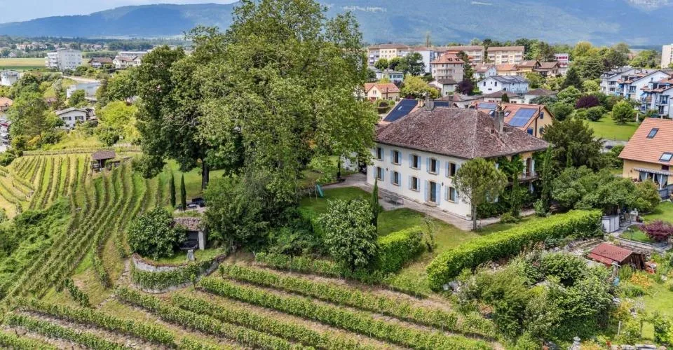 Prächtiges historisches Anwesen auf einem Weingut! – Foto 17 von 21