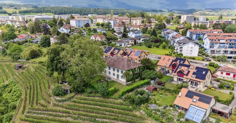 Prächtiges historisches Anwesen auf einem Weingut! – Foto 15 von 21