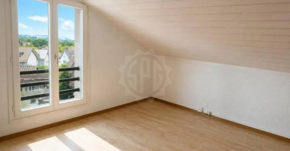Charming apartment - Genolier