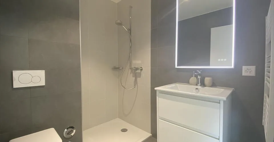 Magnifique appartement meublé 2.5p