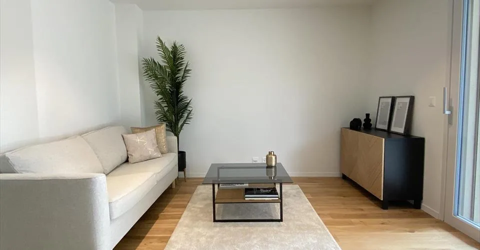 Magnifique appartement meublé 2.5p
