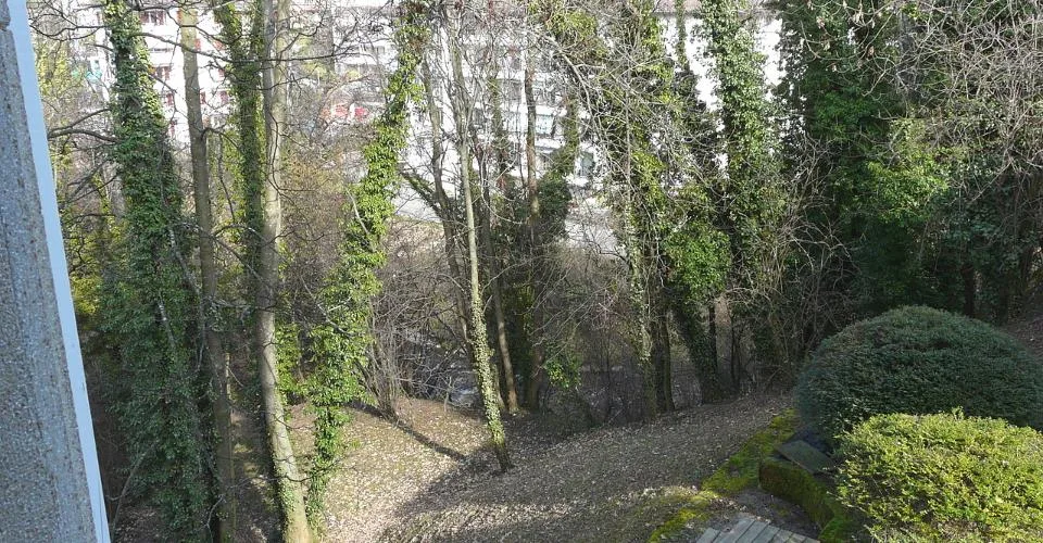Meublé - Magnifique 2.5 p. 50 m2 – Foto 2 von 12