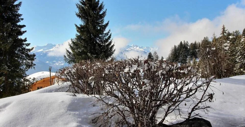 AV 4-Mars - 004 Location semaine – photo 8 sur 10