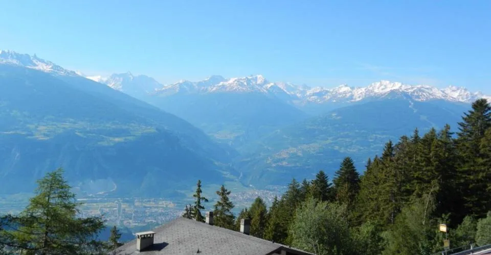 Cristal 712 Location semaine à Anzère – foto 7 di 9