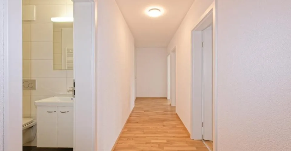 Appartement familial cherche occupants
