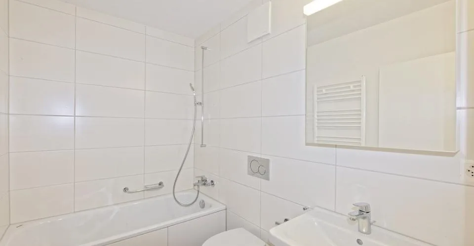 Appartement familial cherche occupants