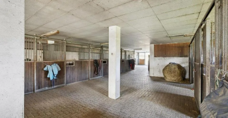Exclusivité SOTHEBY'S Centre Equestre avec rendement – Foto 6 von 13