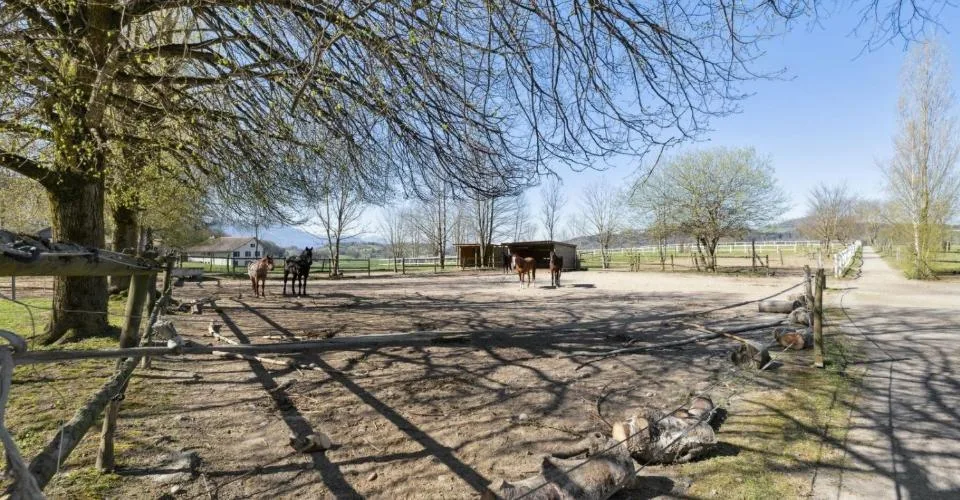 Exclusivité SOTHEBY'S Centre Equestre avec rendement – Foto 11 von 13