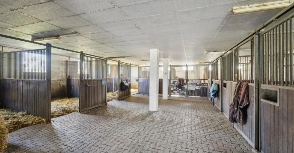 Exclusivité SOTHEBY'S Centre Equestre avec rendement – Foto 5 von 13