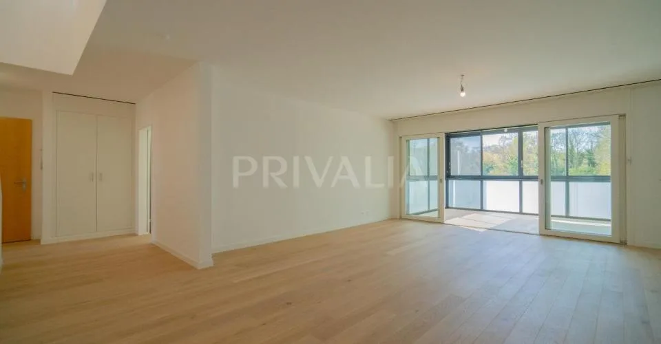 Superbe attique en duplex rénové avec terrasses et vue dégagée – foto 6 di 26