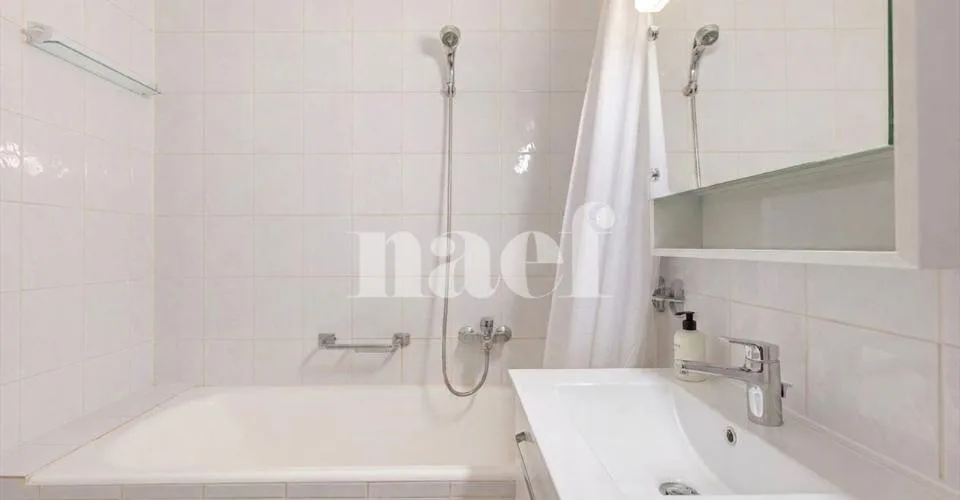 Charmilles: Grande monolocale con cucina separata – foto 10 di 22