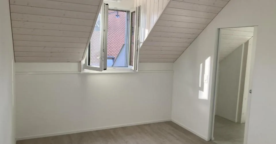 Magnificent 2½ room duplex with large mezzanine