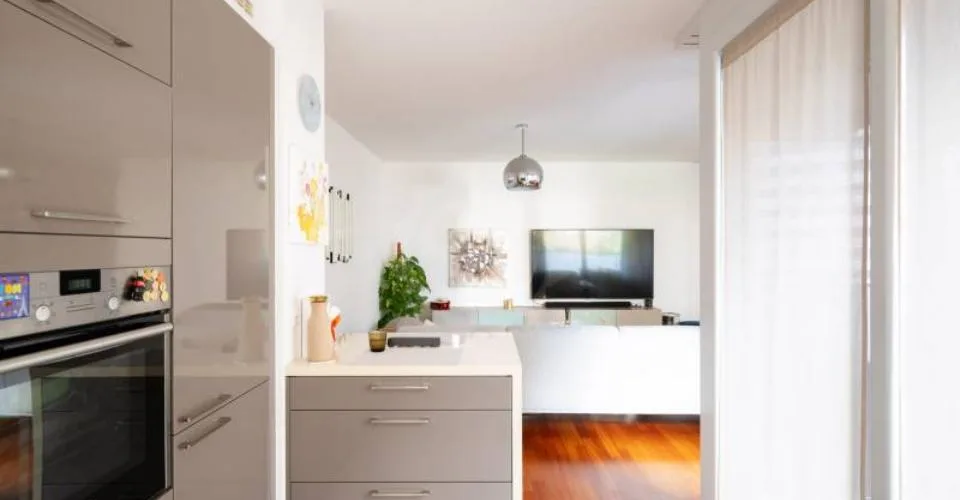 Magnifique appartement - Chêne-Bourg