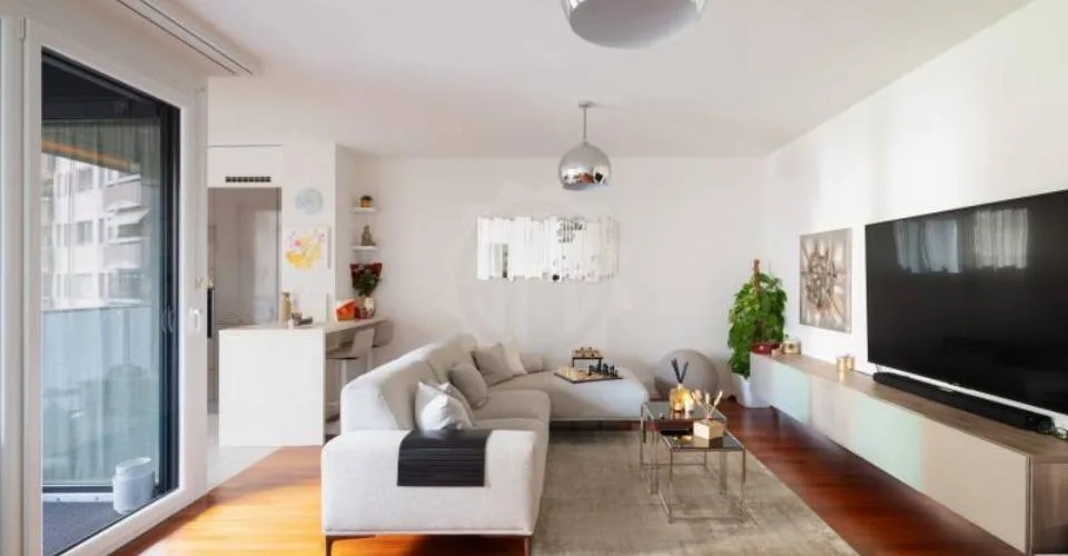 Magnifique appartement - Chêne-Bourg