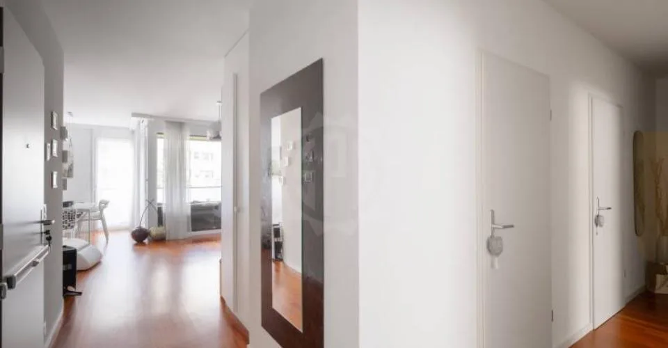 Magnifique appartement - Chêne-Bourg