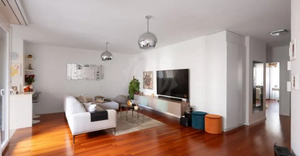 Magnifique appartement - Chêne-Bourg