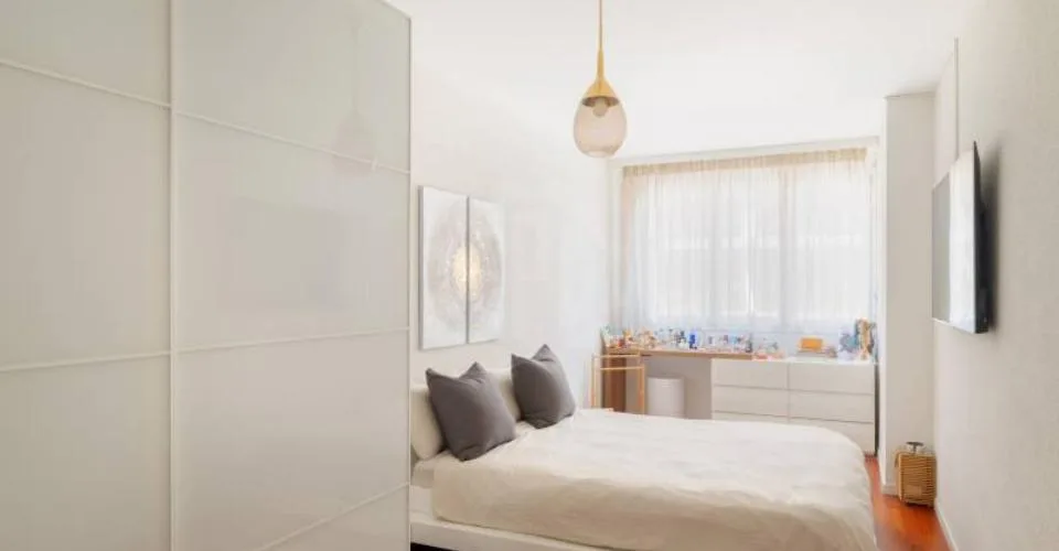 Magnifique appartement - Chêne-Bourg