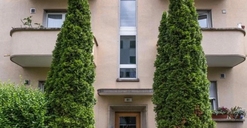 3,5 Zimmer-Duplexwohnung in Bern zu vermieten ! – photo 4 sur 9