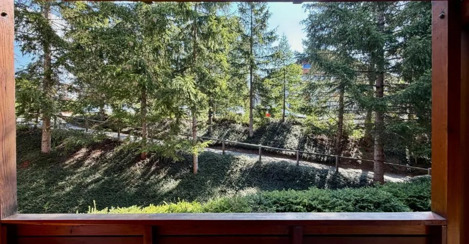 À louer à Crans-Montana – Charmant appartement 2,5 pièces avec balcon dans un environnement boisé. By Sunimmo… – Foto 9 von 12