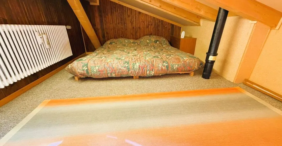 ATTIQUE ! Spacieux et lumineux 1.5 pièces rénové - Extraordinaire vue - Bien Situé - Lieu très calme – photo 15 sur 16