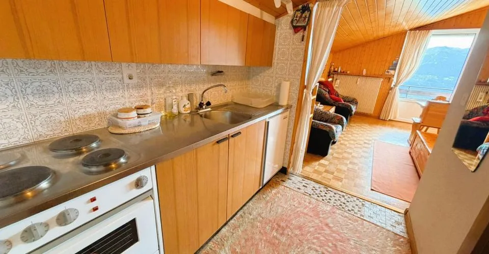 ATTIQUE ! Spacieux et lumineux 1.5 pièces rénové - Extraordinaire vue - Bien Situé - Lieu très calme – photo 7 sur 16